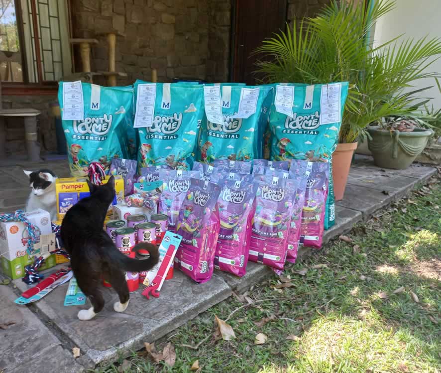 Animal Anti-Cruelty League, Durban Branch